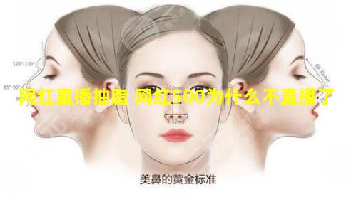 网红直播抽脂 网红500为什么不直播了